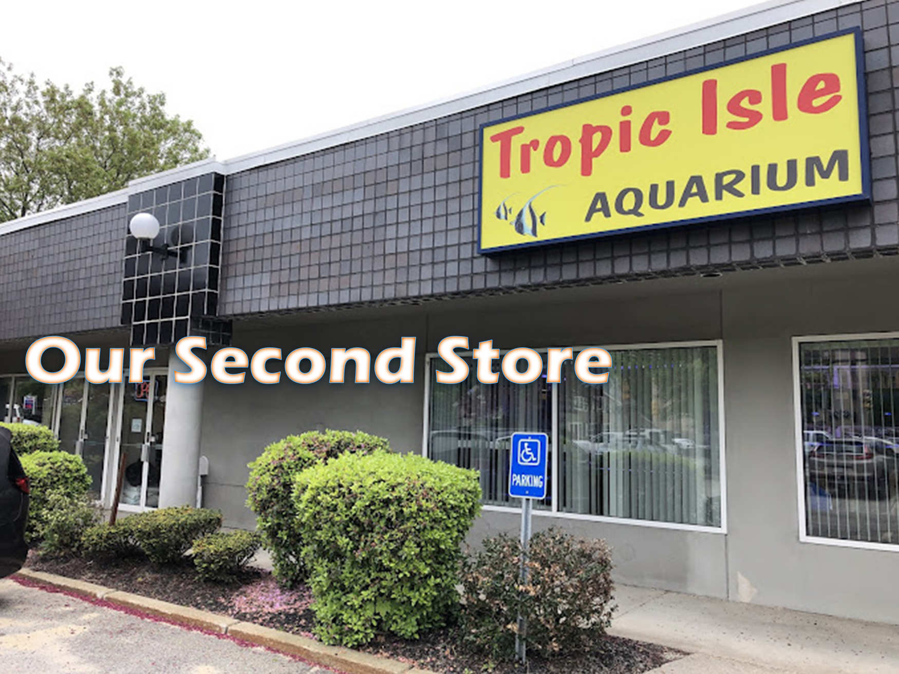 Our Store - Tropic Isle Aquarium